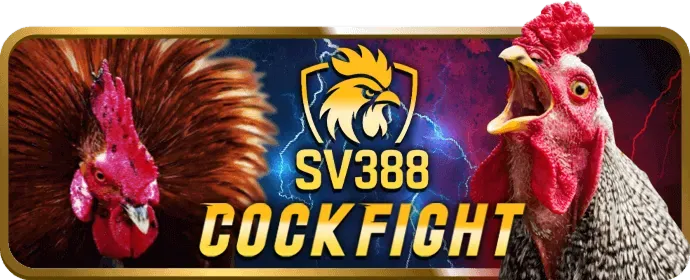 Máy đánh bạc Thabet88 Login