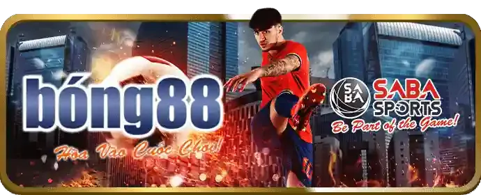 Đá gà cựa sắt kịch tính tại Thabet88